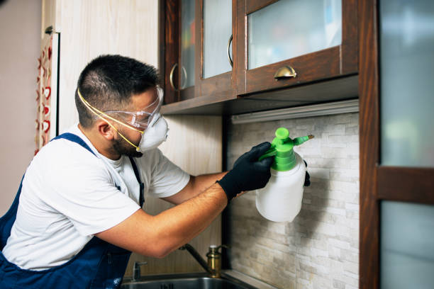 Best Exterminator Services  in Arden Arde, CA