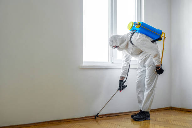 Best Residential Pest Control  in Arden Arde, CA