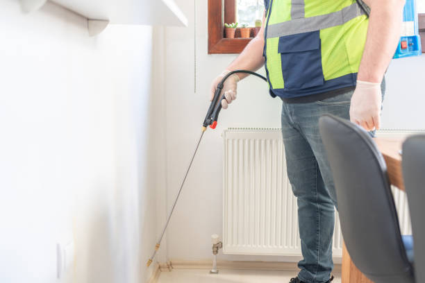 Flea Control Services in Arden Arcade, CA