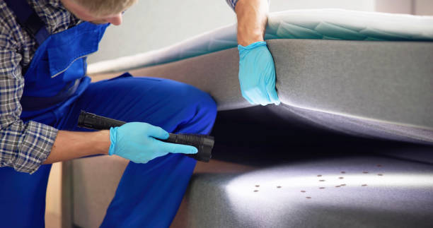 Best Pest Control Near Me  in Arden Arde, CA