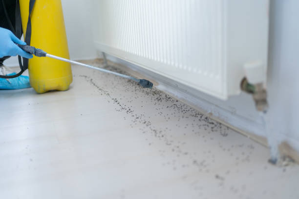 Best Best Pest Control Companies  in Arden Arde, CA