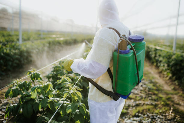 Best Bed Bug Extermination  in Arden Arde, CA